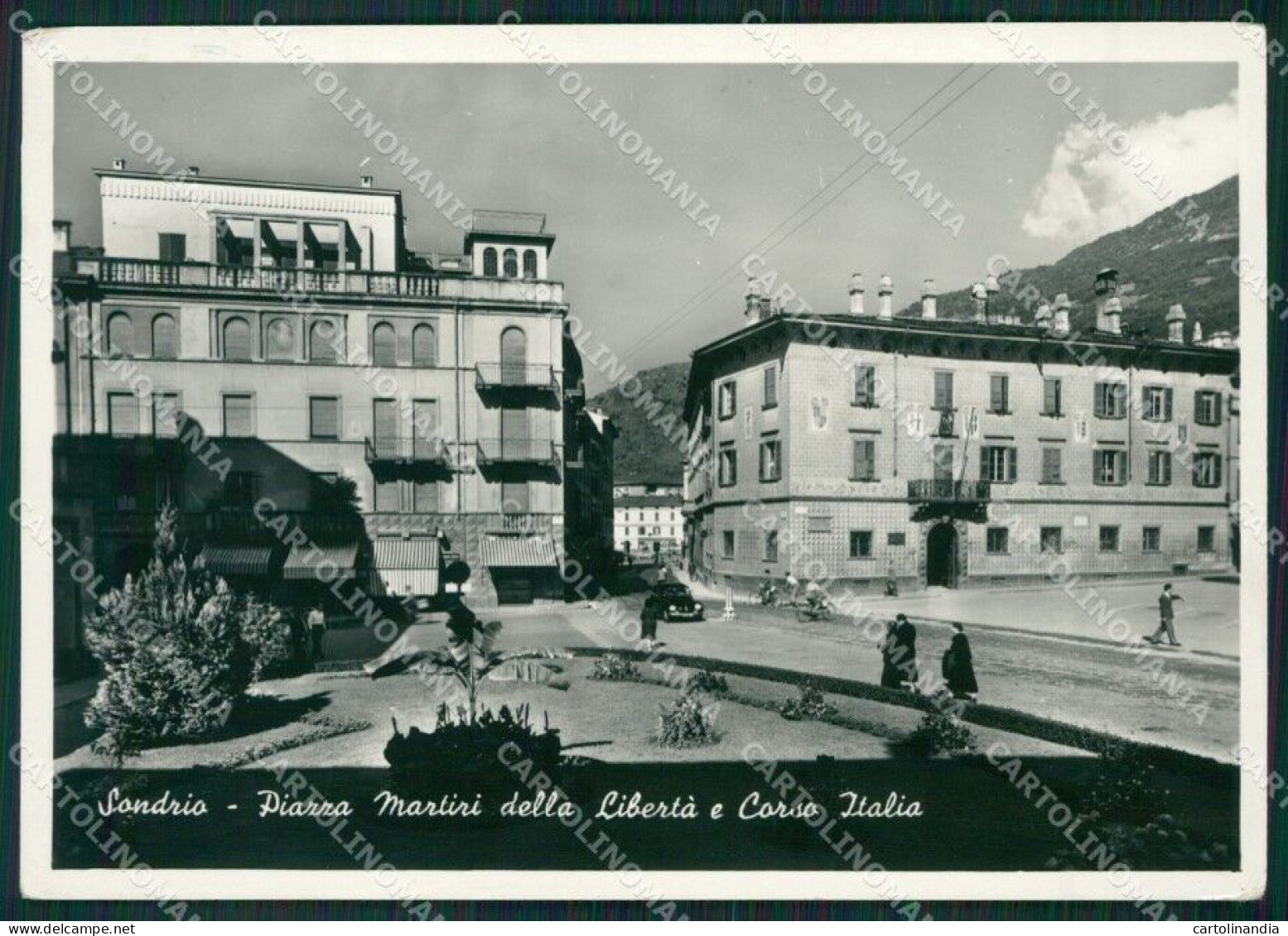 Sondrio Città FG Foto Cartolina KVM1386 - Sondrio