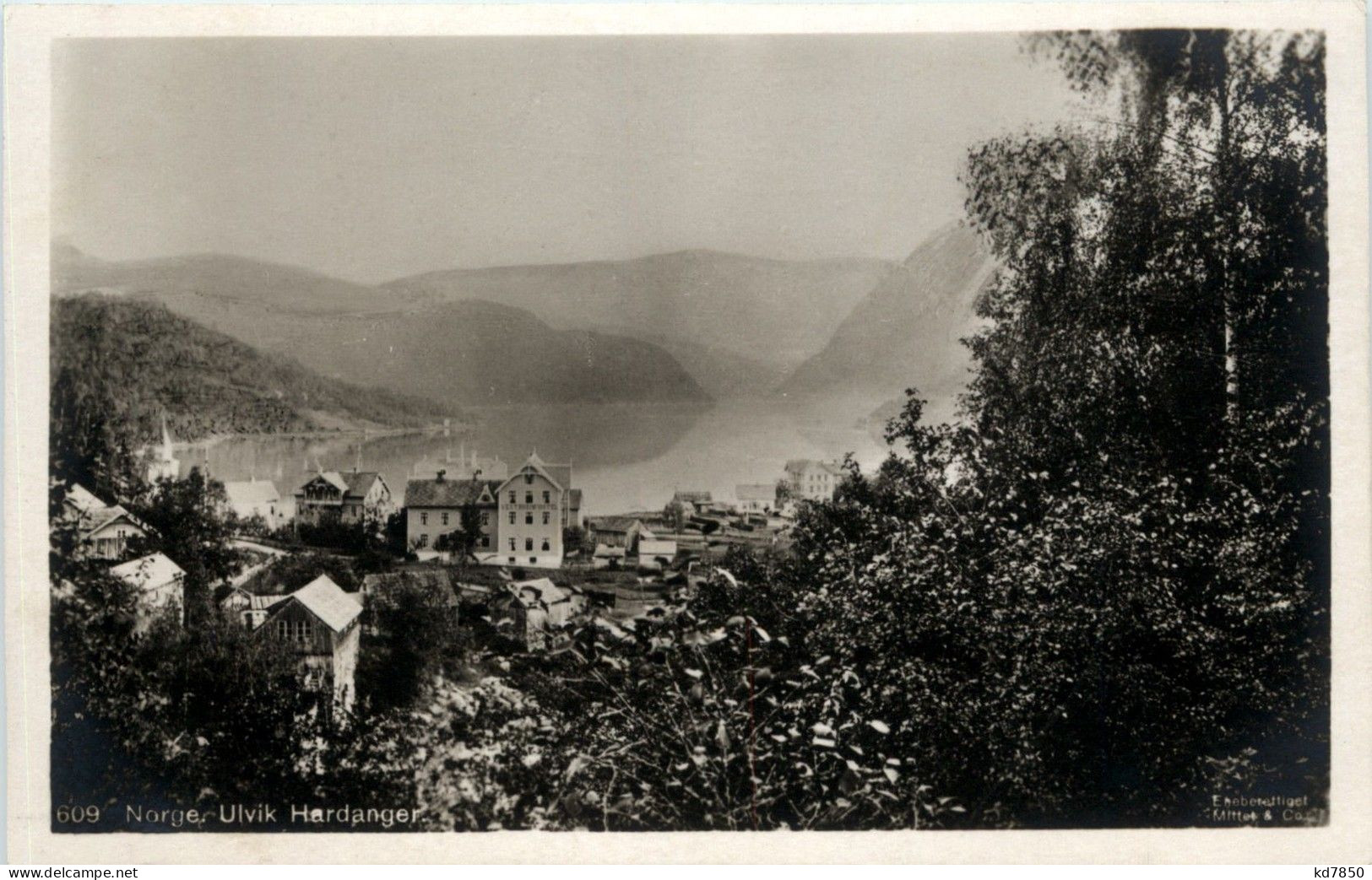 Ulvik Hardanger - Norvège