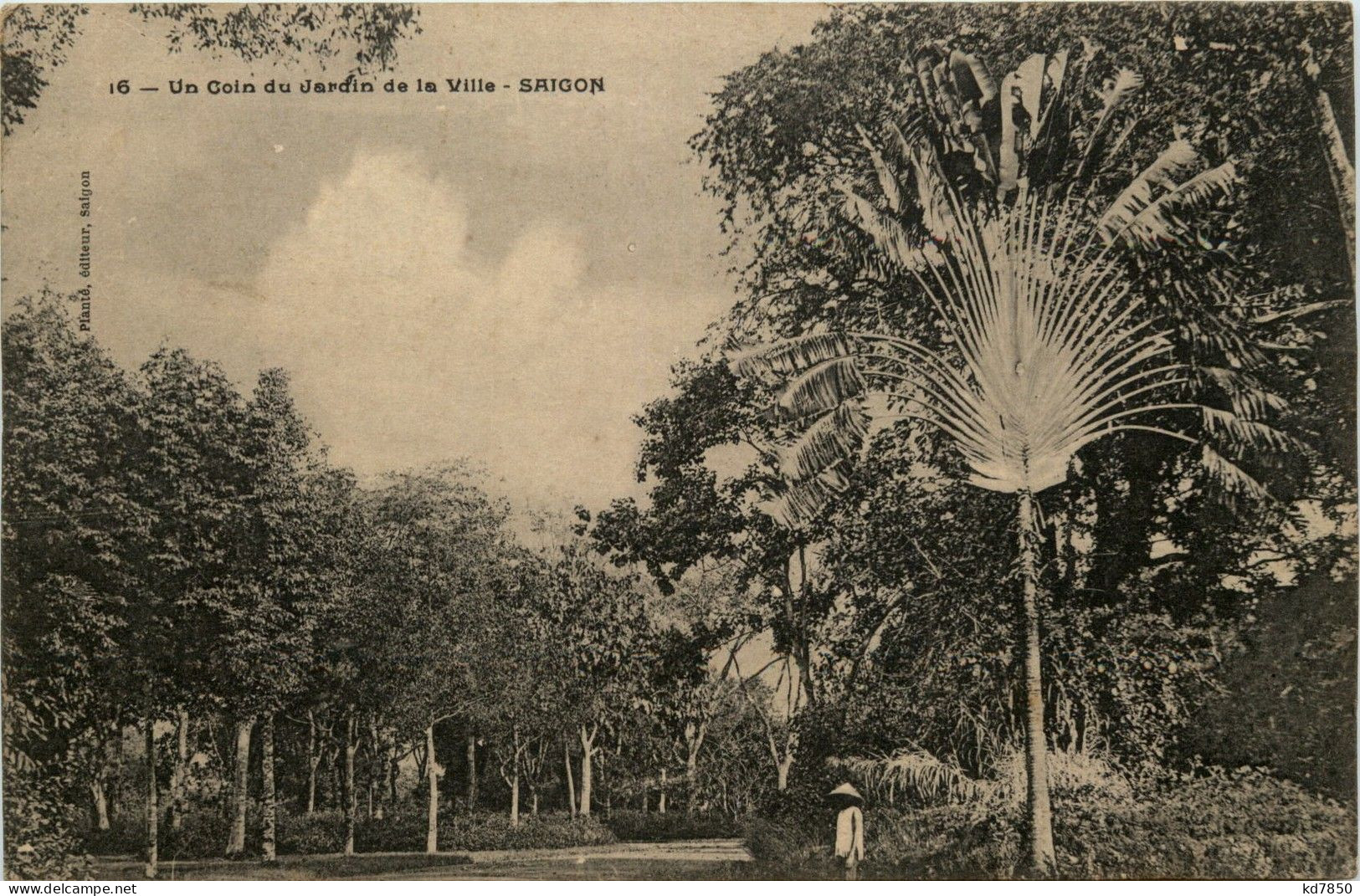 Saigon - Jardin De La Ville - Viêt-Nam