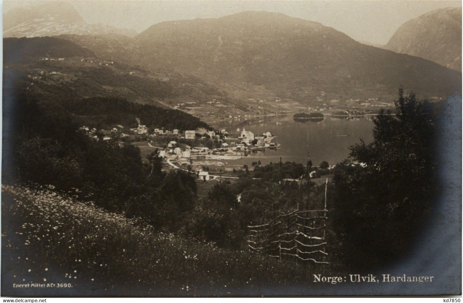 Ulvik Hardanger - Norvège