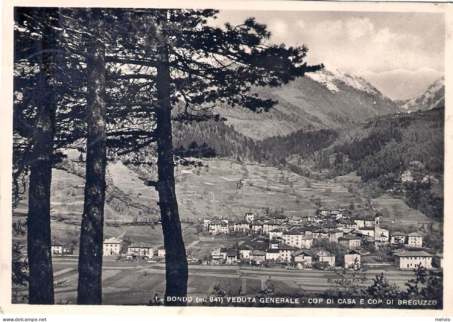 1941-"Bondo Veduta Generale Cop Di Casa E Cop Di Breguzzo" - Trento