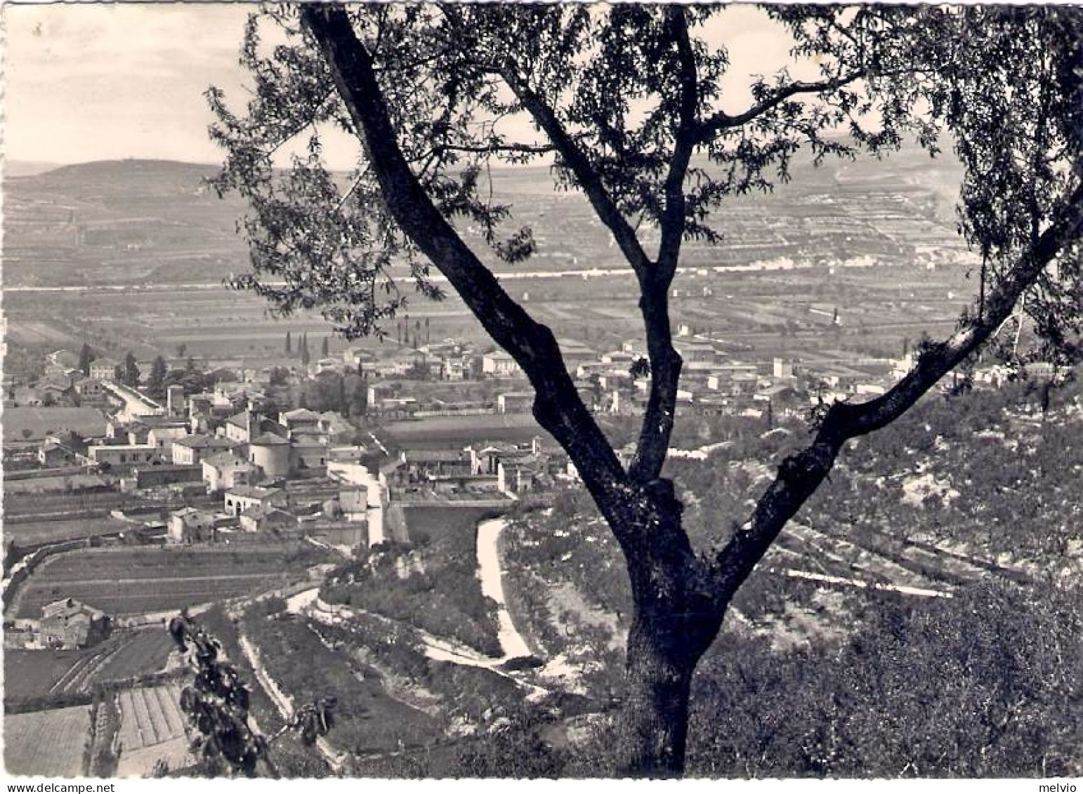 1953-cartolina Foto "Illasi Verona" - Verona