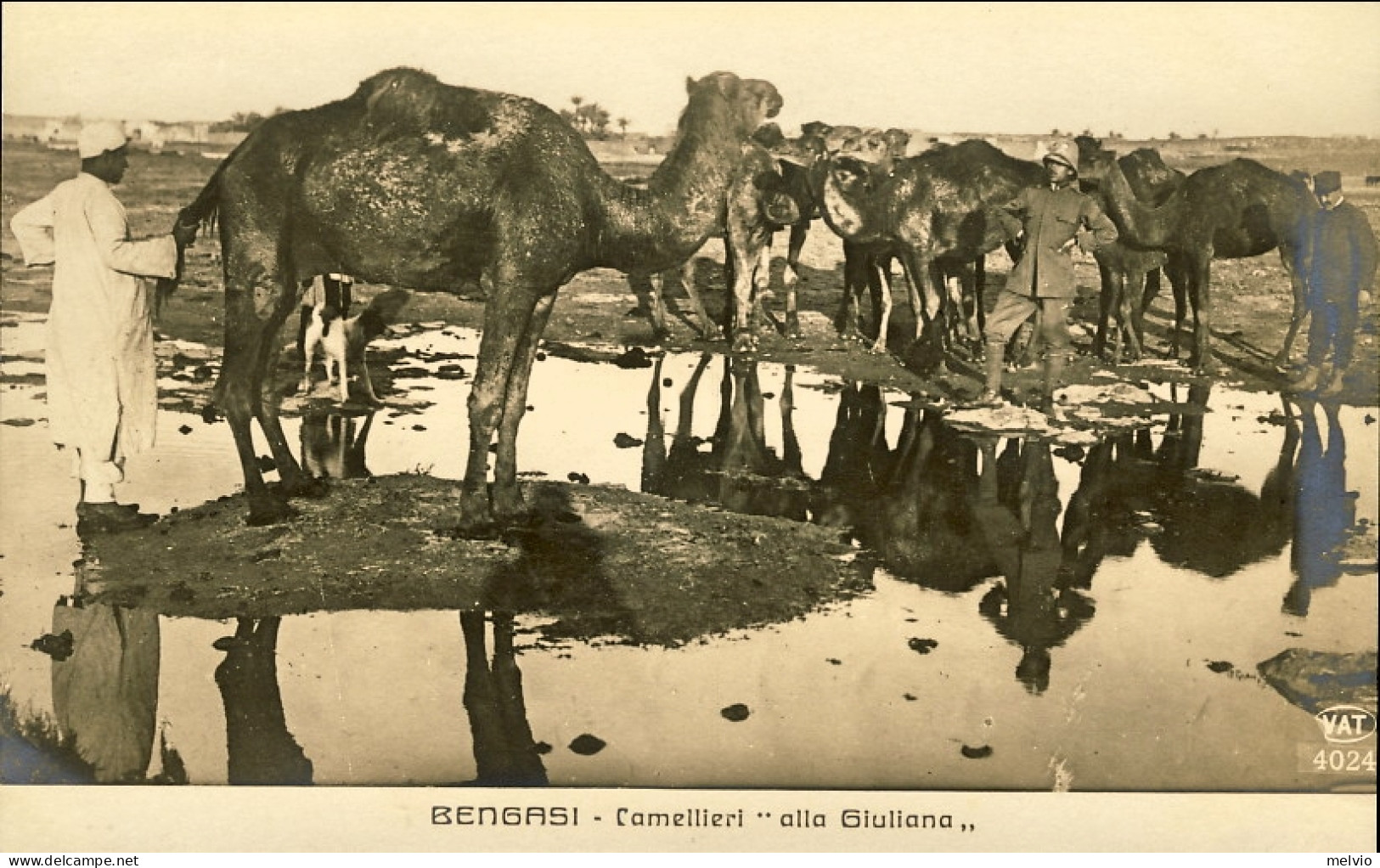 1911/12-"Guerra Italo-Turca,Bengasi Cammellieri Alla Giuliana" - Tripolitaine