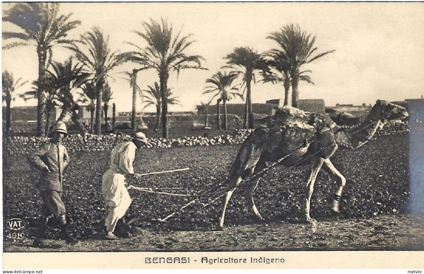 1911/12-"Guerra Italo-Turca,Bengasi Agricoltore Indigeno" - Tripolitania