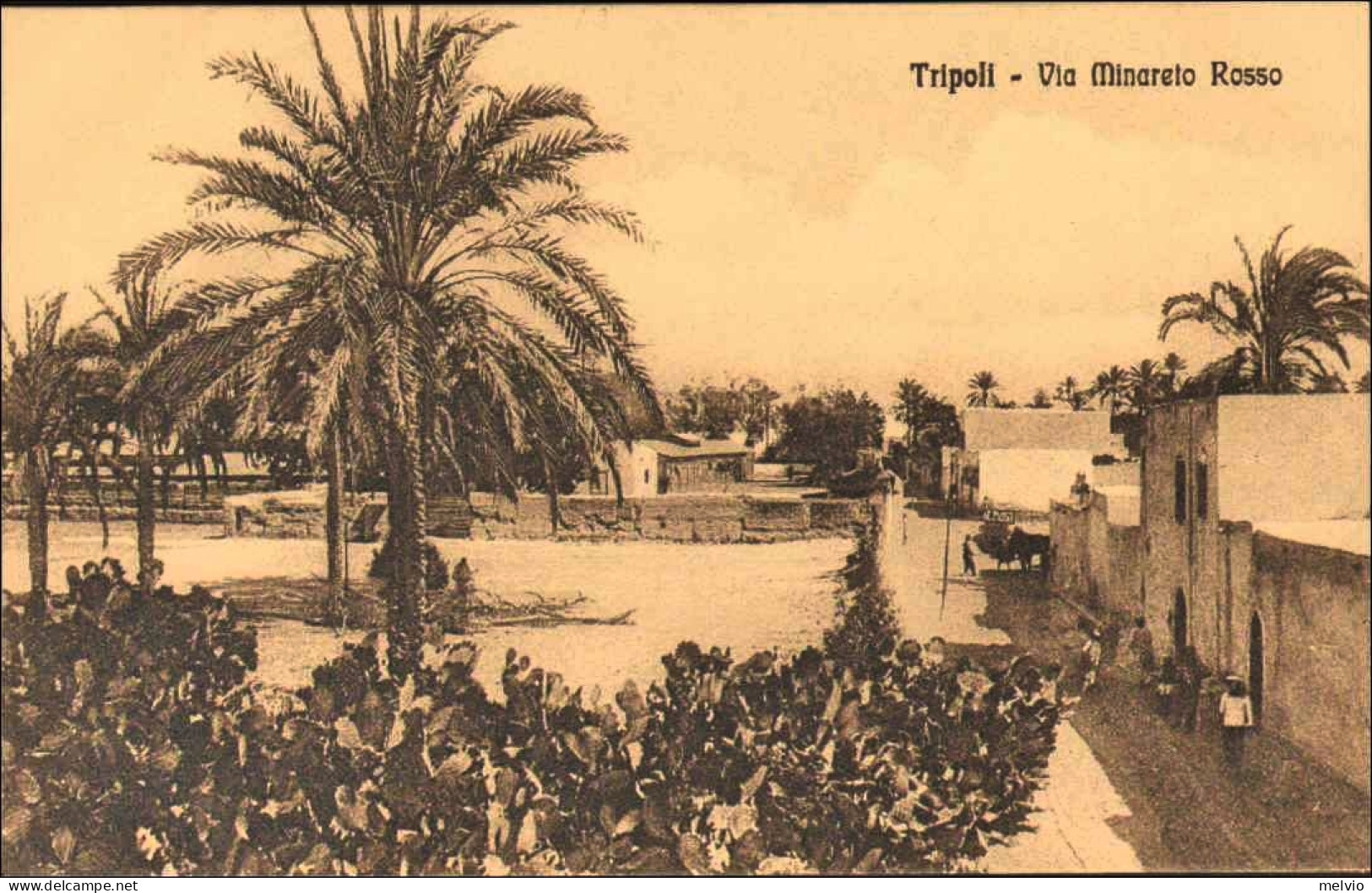 1911/12-"Guerra Italo-Turca,Tripoli Via Minareto Rosso" - Tripolitania