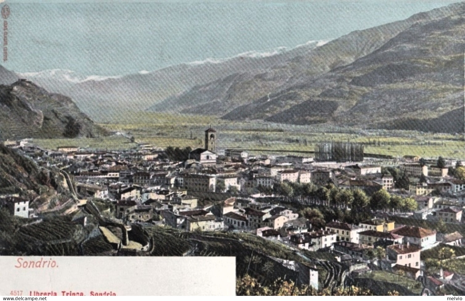 1904-Sondrio Panorama - Sondrio