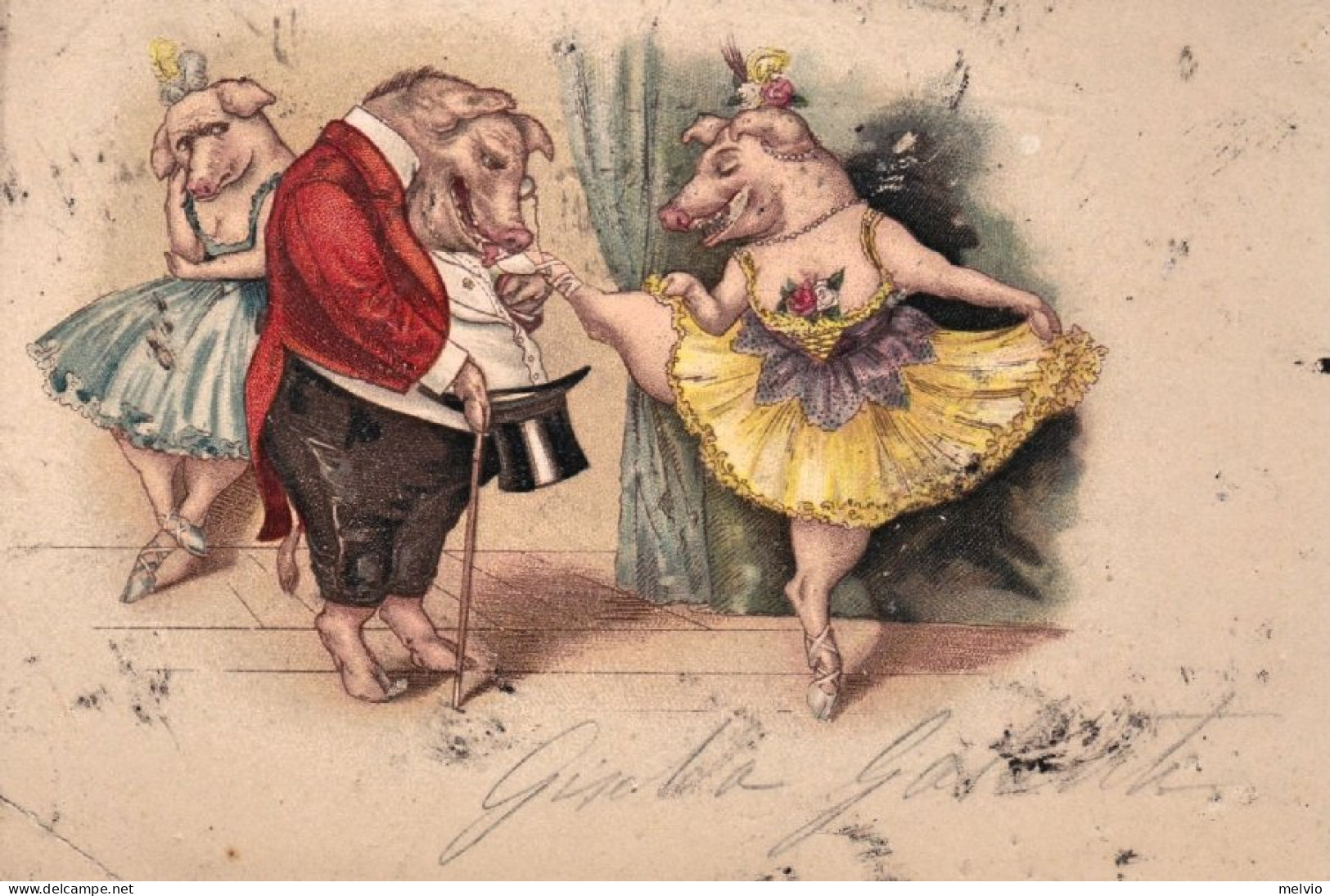 1899-Maialine Danzanti, Cartolina Viaggiata - Schweine