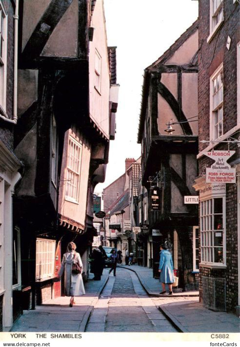 73880240 York  UK The Shambles  - Other & Unclassified