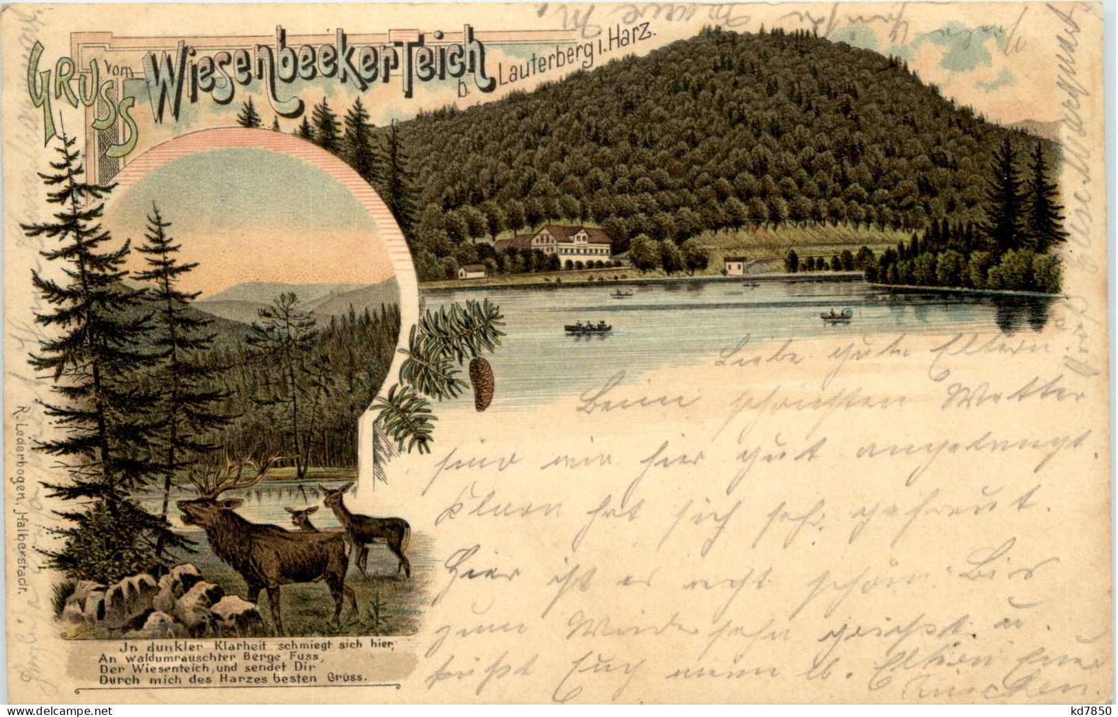 Gruss Vom Wiesenbeeker Teich Bei Lauterberg - Litho - Bad Lauterberg