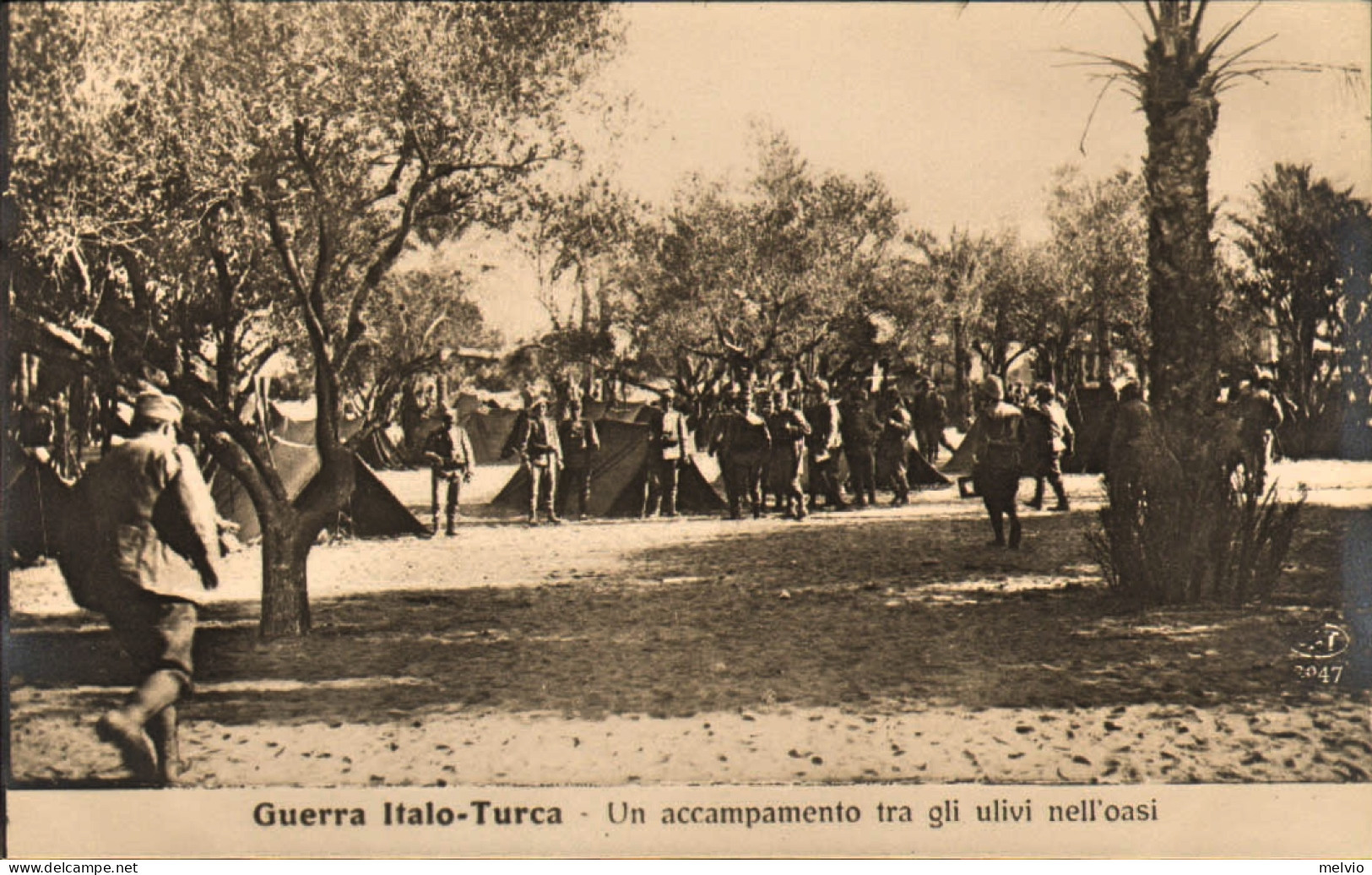 1911/12-"Guerra Italo-Turca,Un Accampamento Tra Gli Ulivi Nell'oasi" - Tripolitania