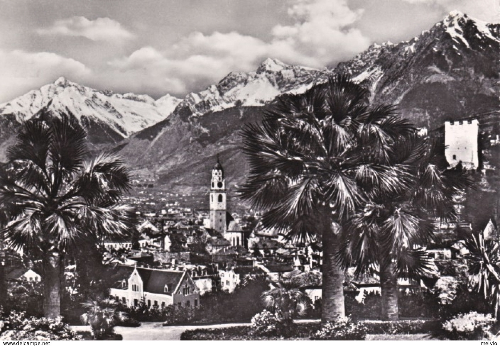 1963-Merano Panorama, Affrancata L.40 Michelangiolesca Isolato - 1961-70: Poststempel