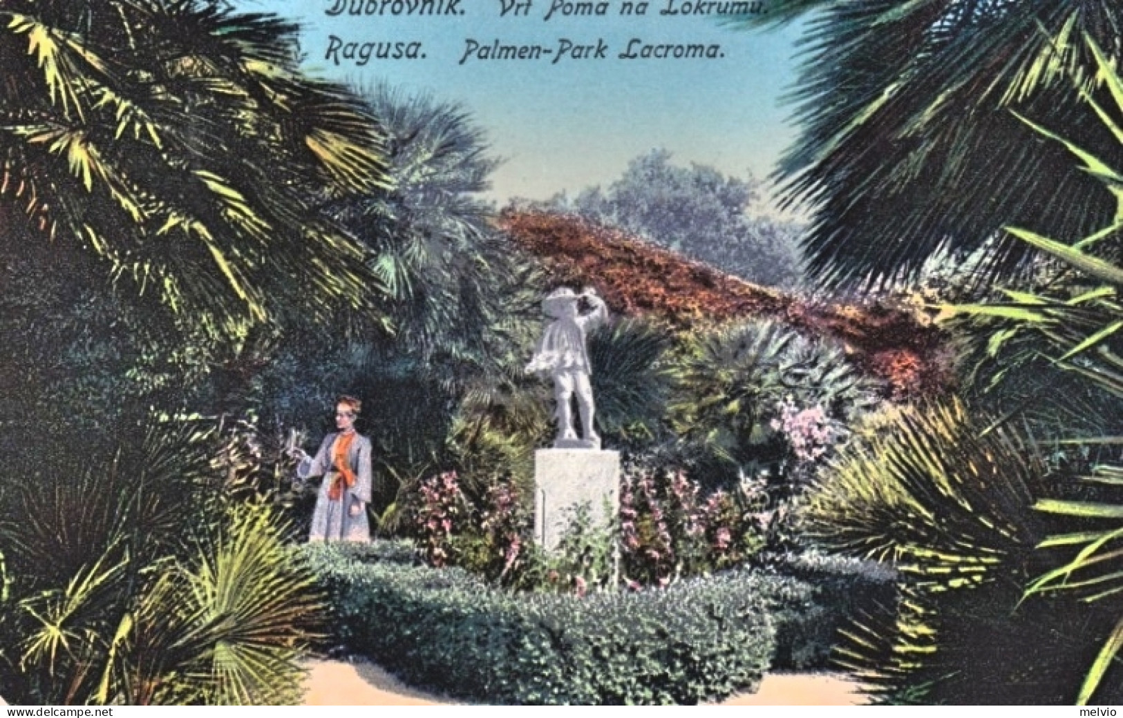1914-Dubrovnik Vrt Poma Na Lokrumu-Ragusa Palmen Park Lacroma, Cartolina Viaggia - Croacia
