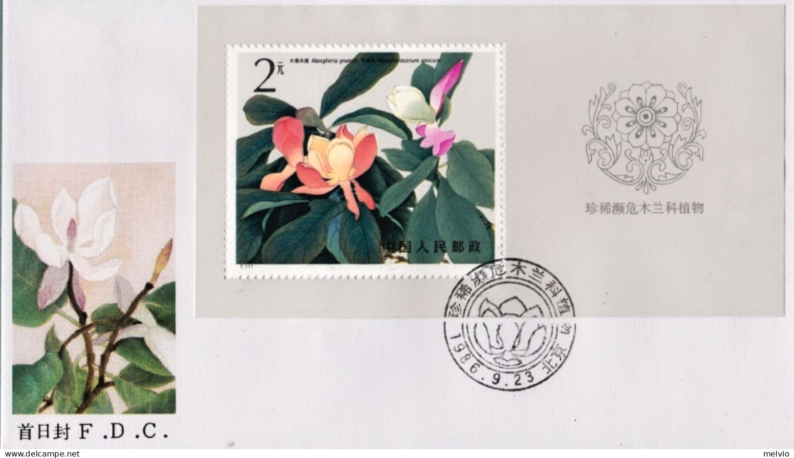 1986-Cina China T111M, Rare Magnolia Souvenir Sheet - Lettres & Documents