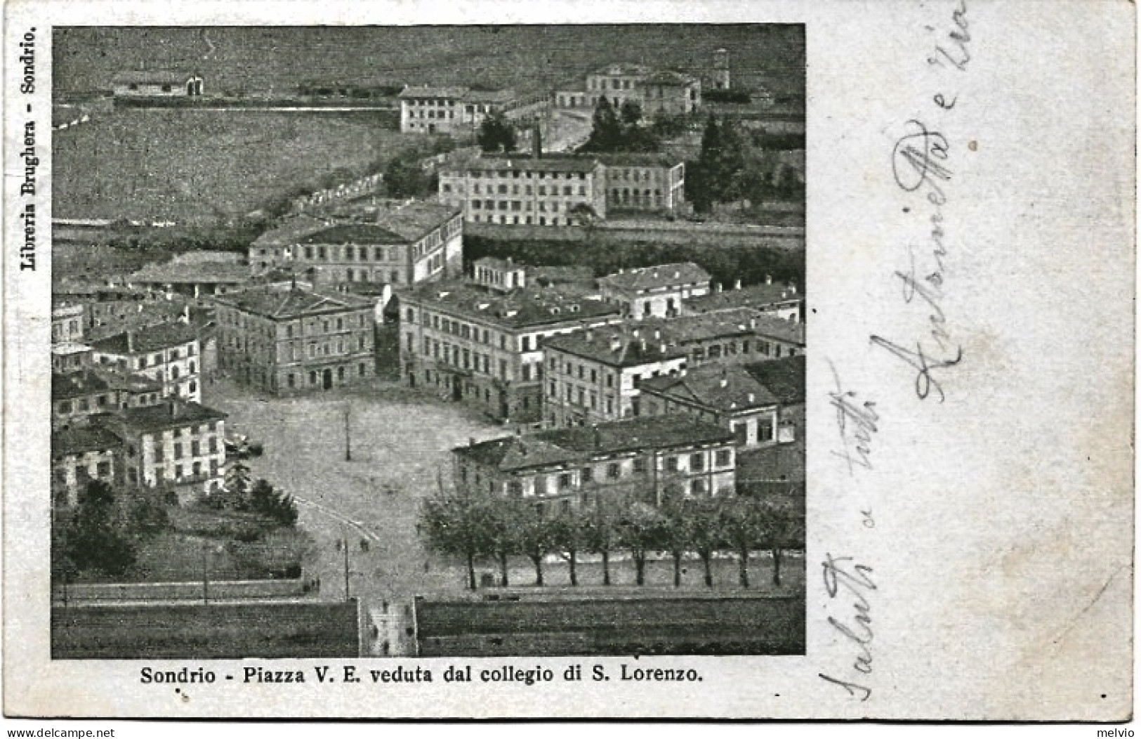 1903-Sondrio Piazza Vittorio Emanuele Veduta Dal Collegio Di San Lorenzo - Sondrio
