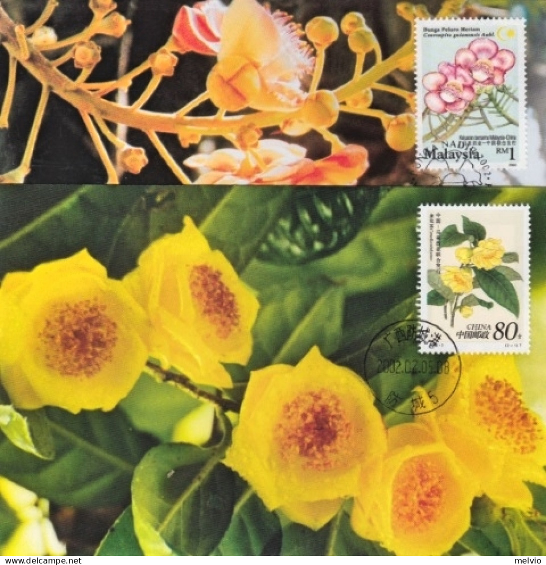 2002-Cina China MC49, Rare Flowers (Jointly Issued By China And Malaysia) Maximu - Lettres & Documents