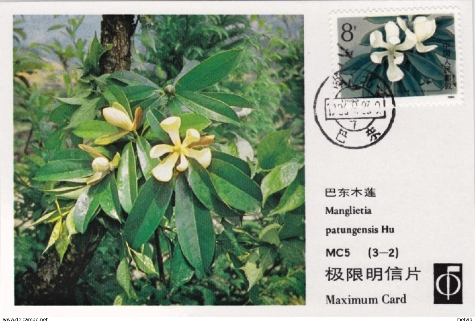 1986-Cina China MC5, Rare Magnolia Liliflora Maximum Cards (the Rarest Set Of Ch - Brieven En Documenten