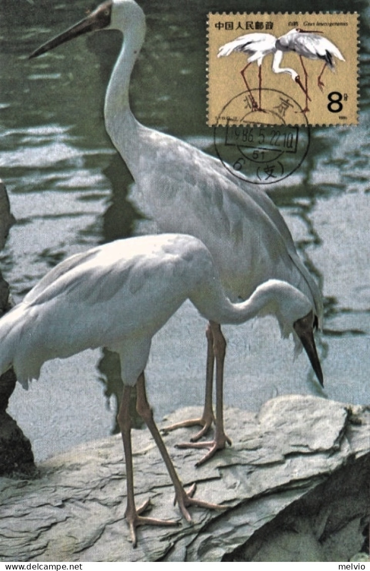 1986-Cina China T110, Scott 2033-35 White Crane Maximum Cards - Covers & Documents