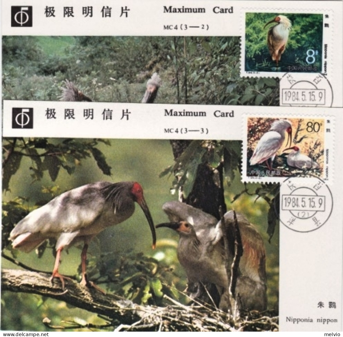 1984-Cina China MC4, Ibis Maximum Cards - Covers & Documents