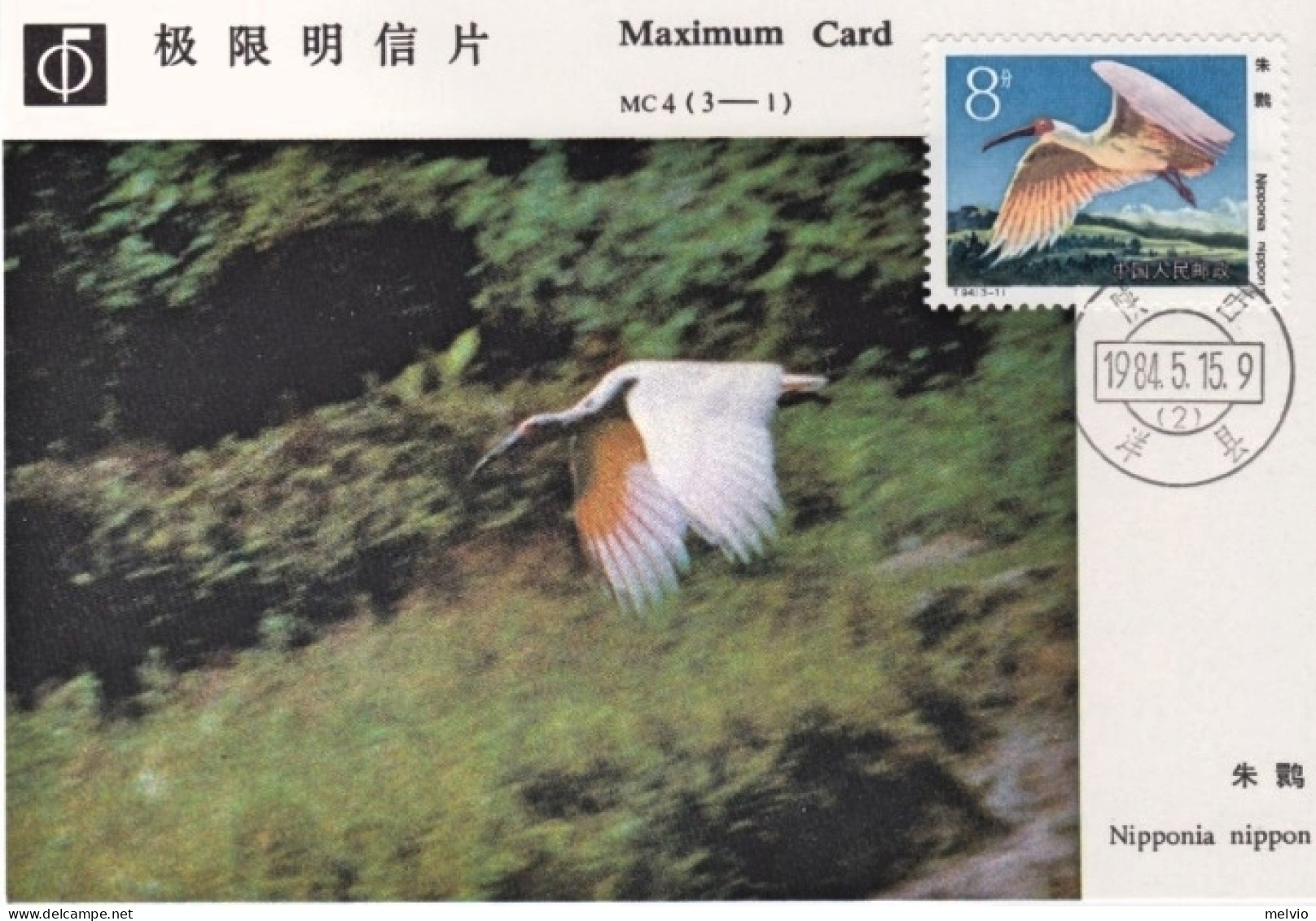 1984-Cina China MC4, Ibis Maximum Cards - Lettres & Documents