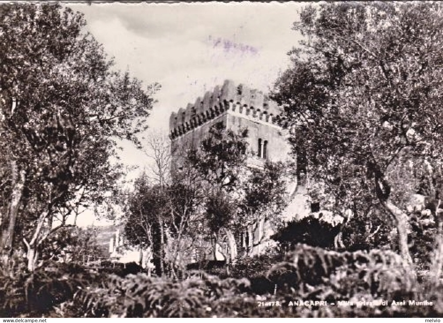 1955-cartolina Illustrata "Anacapri Villa Privata Di Axel Munthe" Affrancata L.1 - Napoli (Naples)