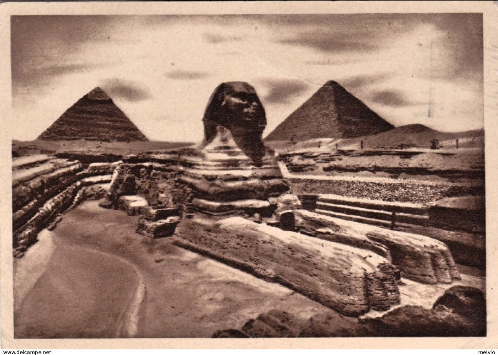 1960-Egitto Cartolina Illustrata "Le Piramidi E La Sfinge"diretta In Italia - Altri & Non Classificati