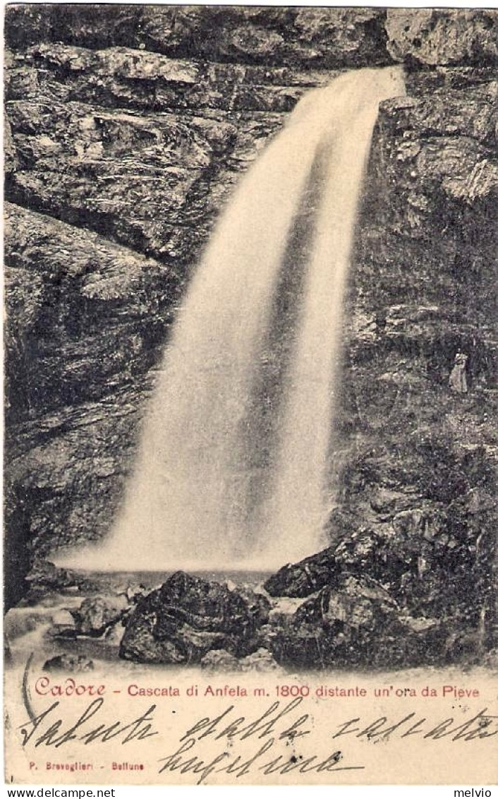 1902-cartolina Del Cadore Cascata Di Anfela Diretta In Svizzera - Belluno