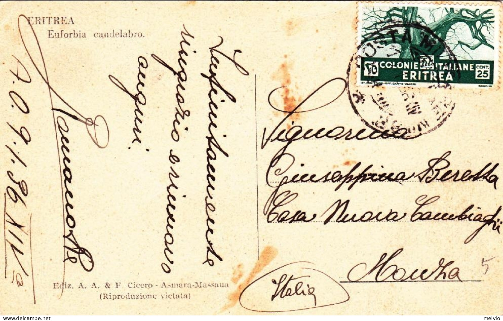 1936-Eritrea Cartolina "Euforbia Candelabro" Diretta In Italia Affrancata 25 Cen - Eritrea