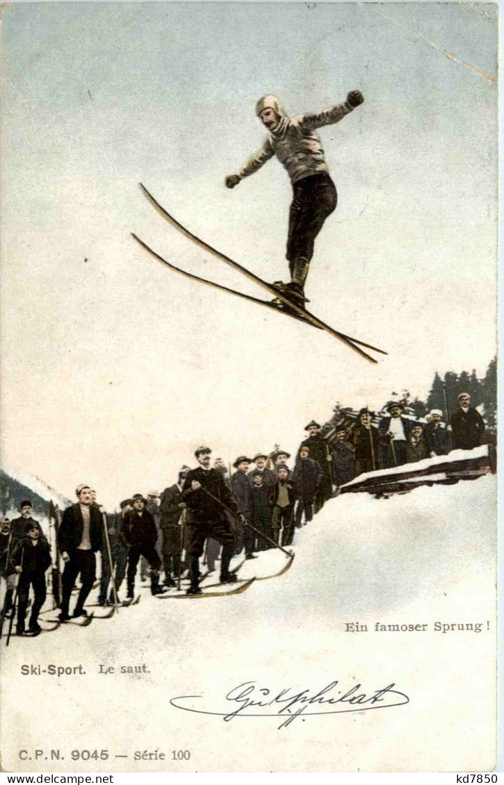 Skisprung - Winter Sports