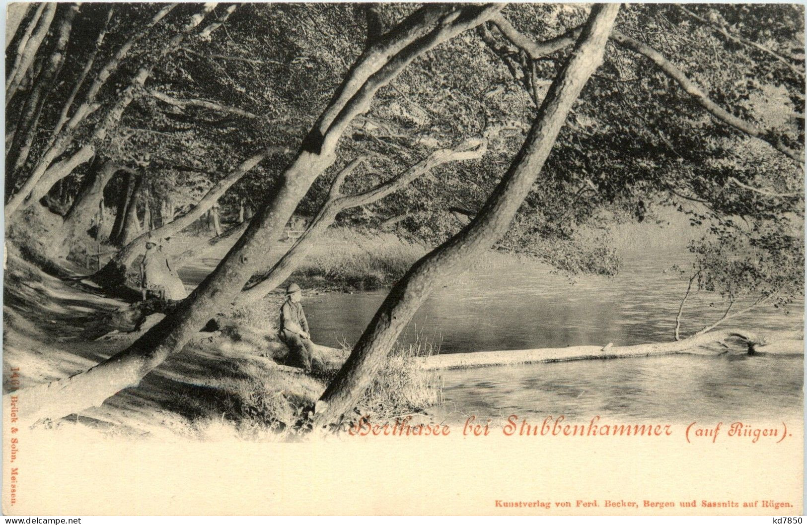 Rügen - Herthasee Bei Stubbenkammer - Rügen