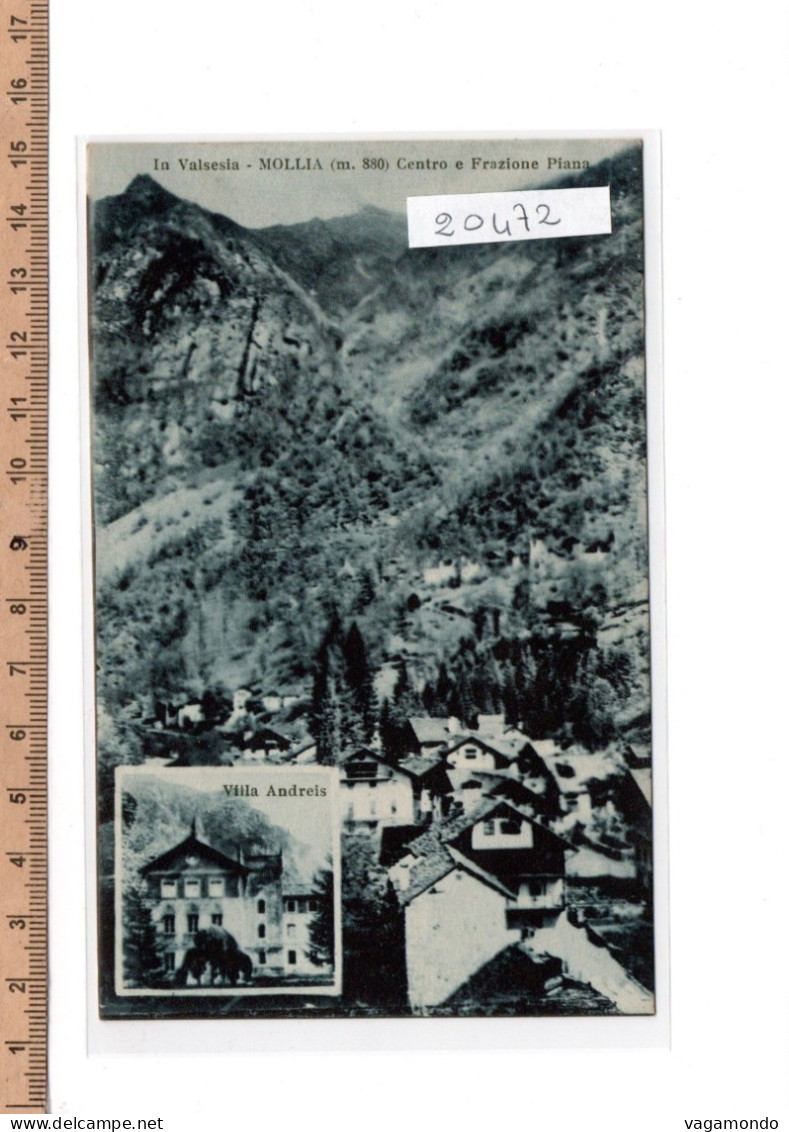 20472  MOLLIA VALSESIA CENTRO FRAZIONE PIANA VEDUTINA VILLA ANDREIS  1936 - Vercelli