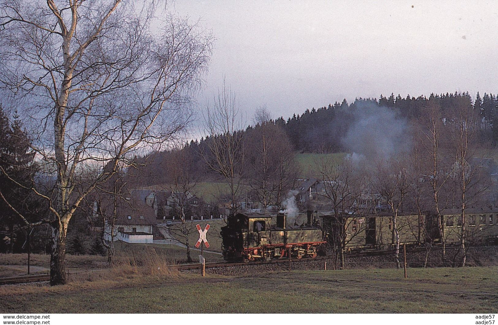 Schmalspurdampflokomotive 99 1561bei Schönheide - Trenes