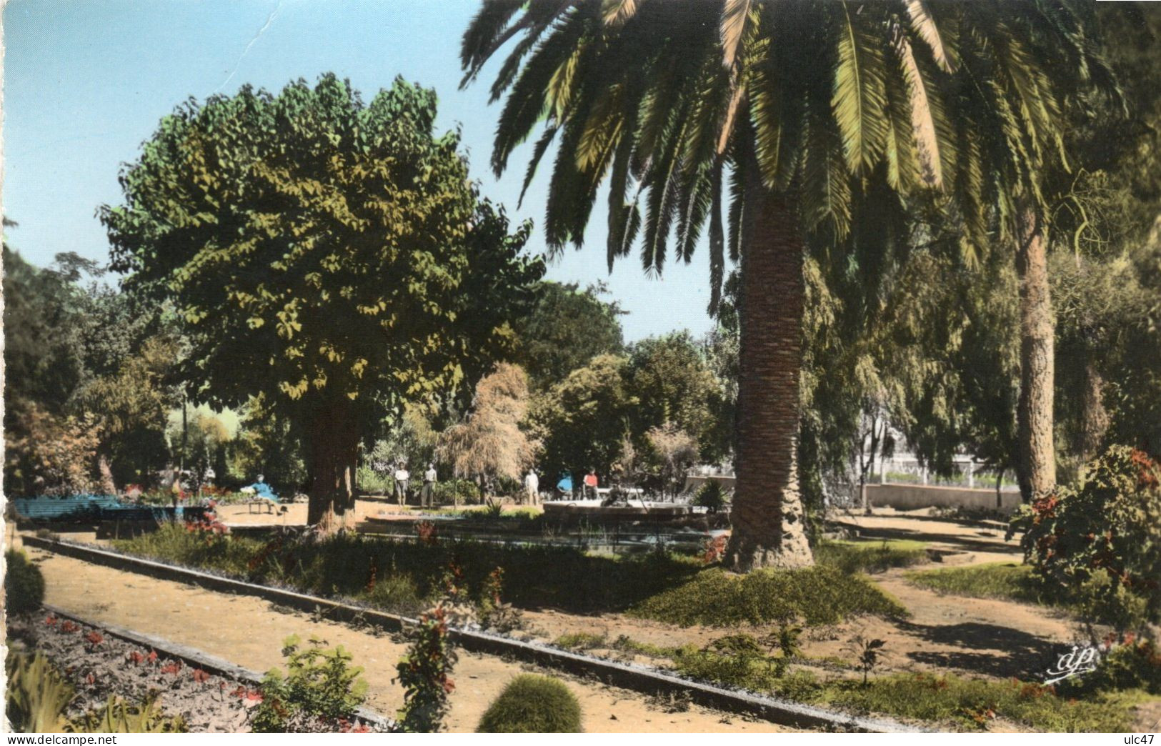 - MARNIA (Algérie) - Le Jardin Public. - - Sonstige & Ohne Zuordnung