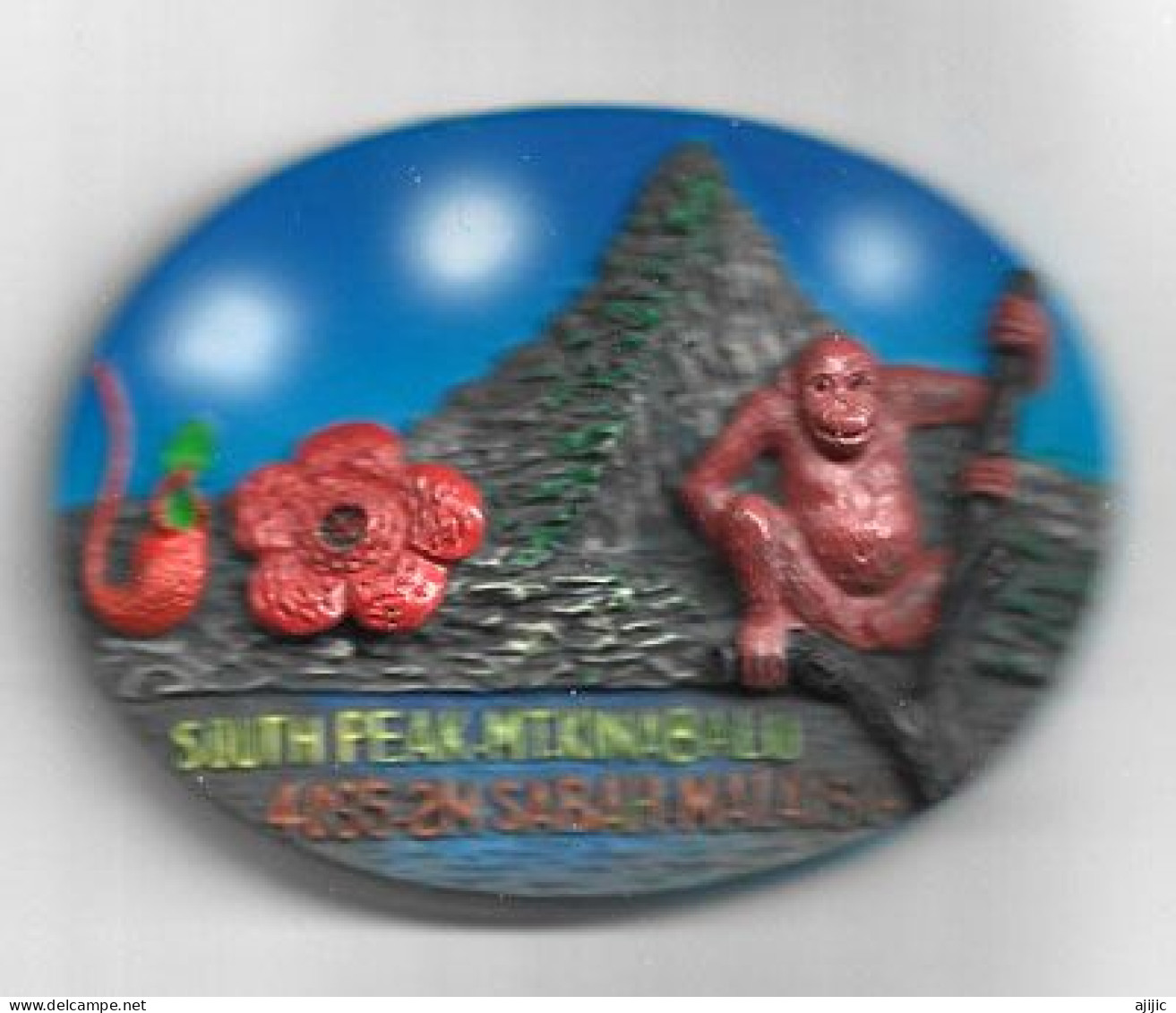 MT.KINABALU (4095M) South Peak Sabah. Malaysia. Fridge Magnet - Tourismus