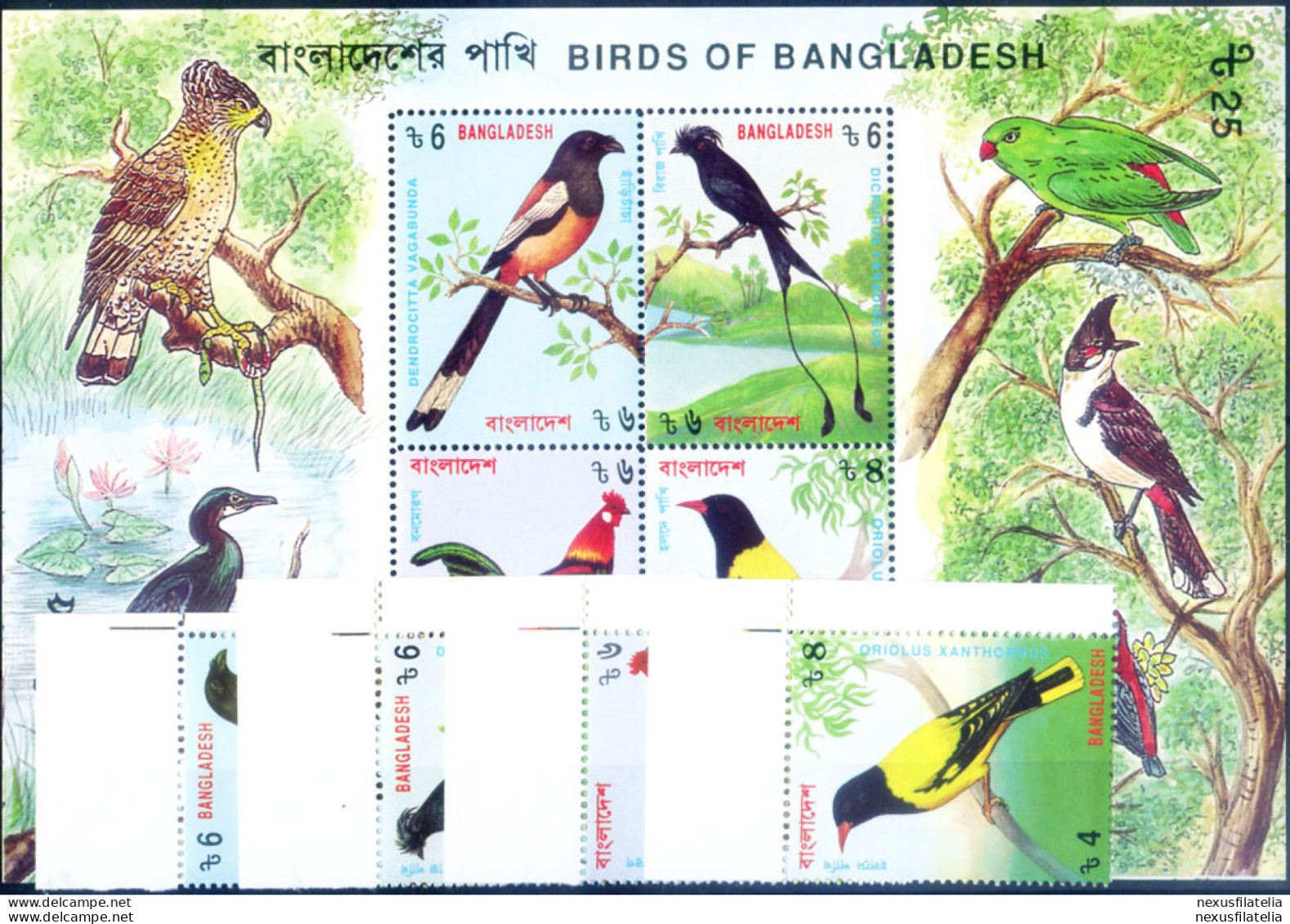 Fauna. Uccelli 1994. - Bangladesch