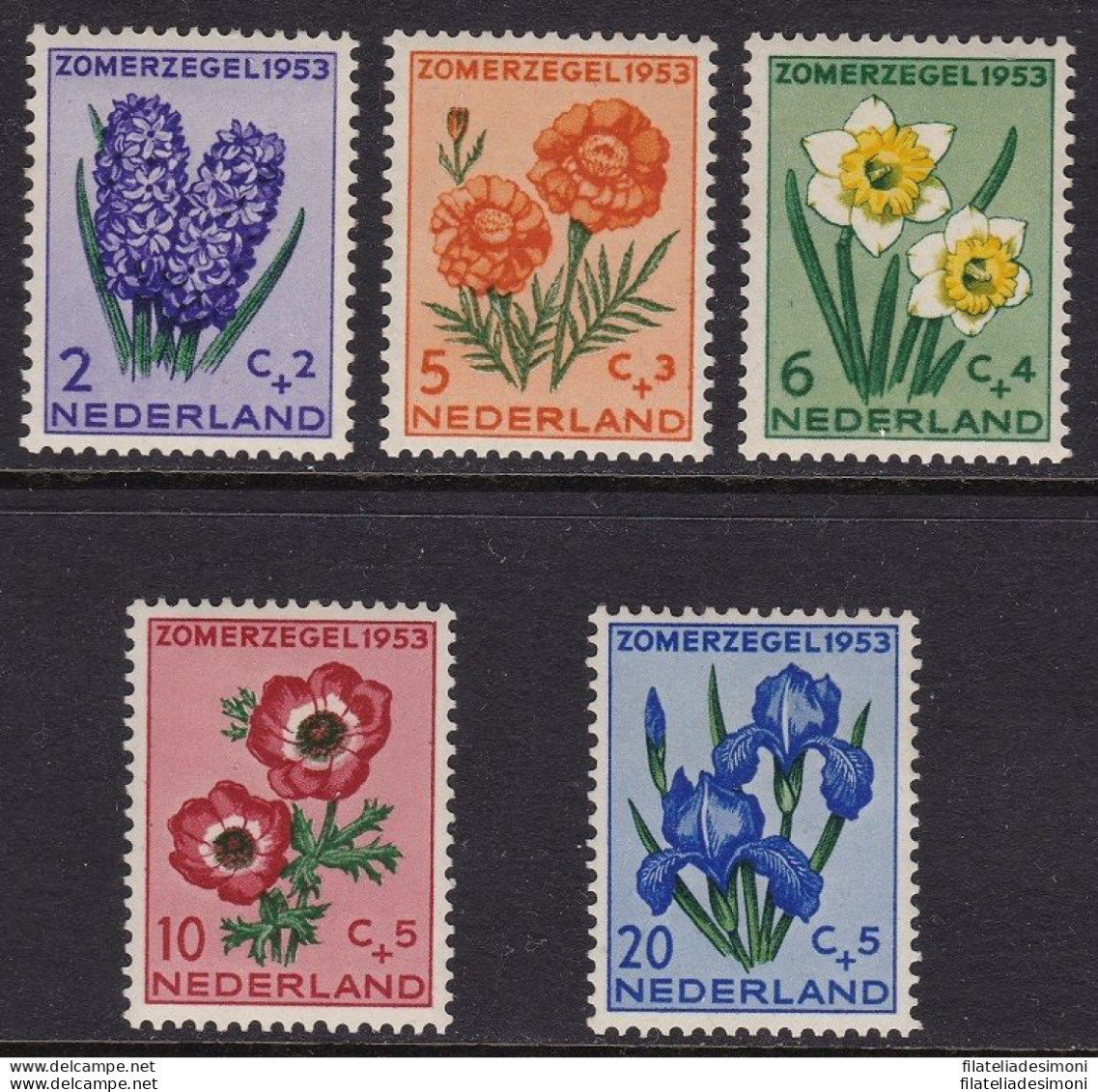 1953 OLANDA, NEDERLAND - N. 590/594 5 Valori MNH/** - Andere & Zonder Classificatie