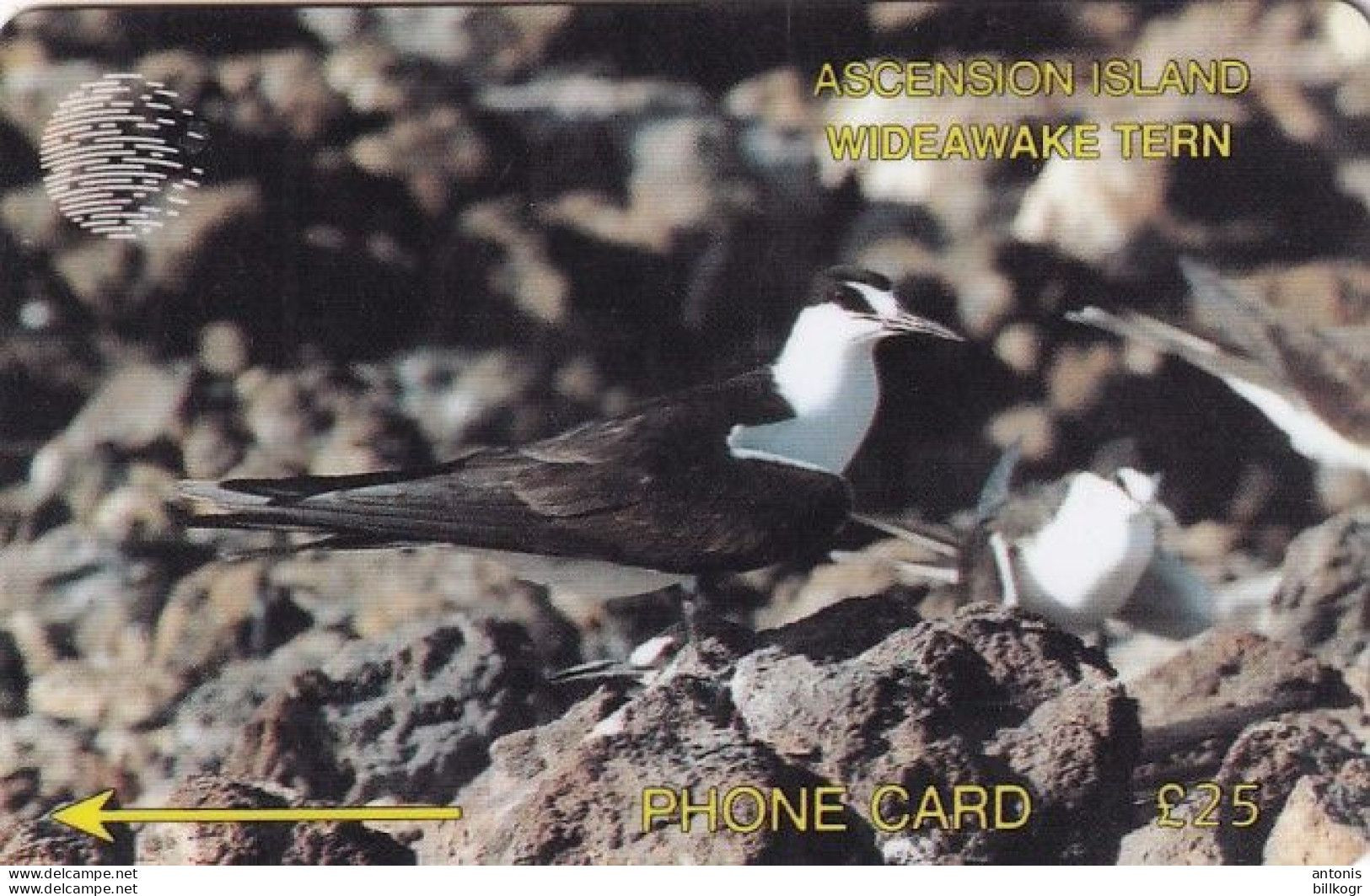 ASCENSION ISL. - Wideawake Bird, CN : 3CASD, Tirage 4600, Used - Ascension (Insel)