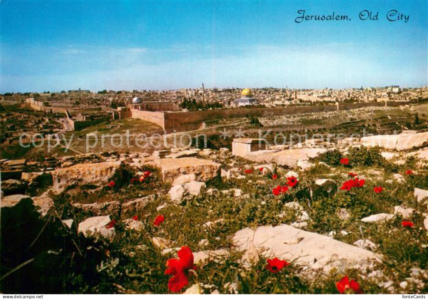 73773748 Jerusalem Yerushalayim Juedischer Friedhof A. D. Oelberg Jerusalem Yeru - Israël