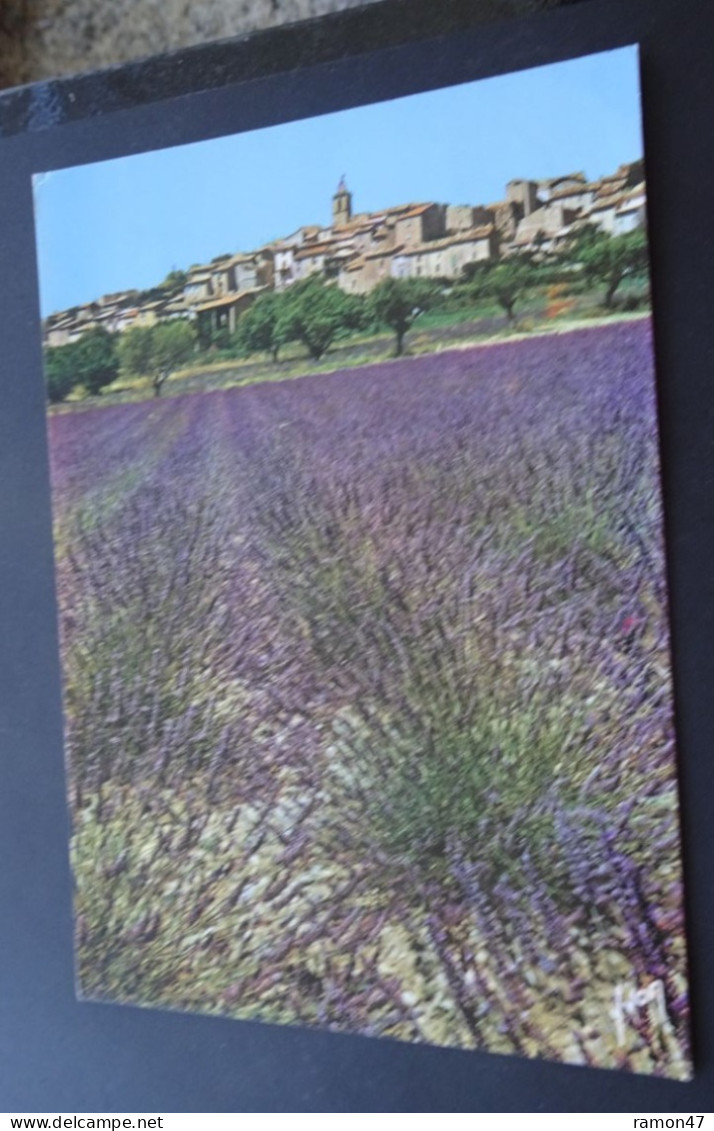 Chamo De Lavande En Provence - Editions D'art Yvon - Provence-Alpes-Côte D'Azur