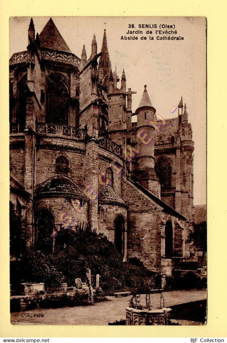 60. SENLIS - Jardin De L'Evéché. Abside De La Cathédrale (voir Scan Recto/verso) - Senlis