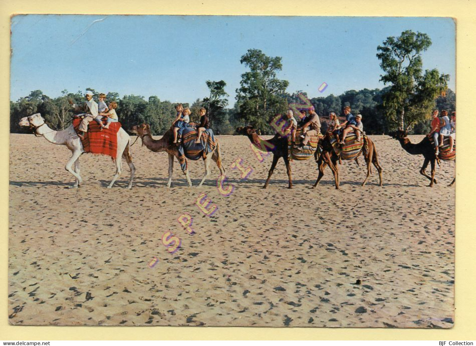 60. ERMENONVILLE - La Mer De Sable (Promenade En Chameaux) (voir Scan Recto/verso) - Ermenonville