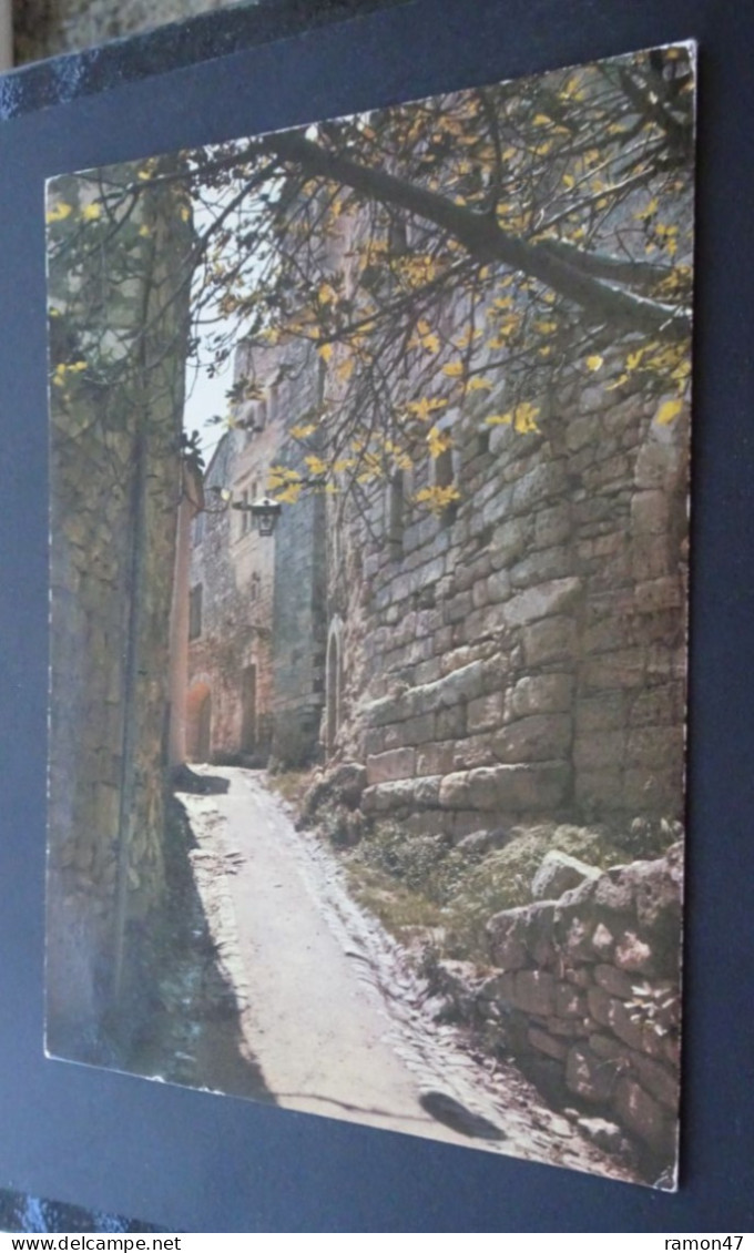 Vieille Rue Typique - Les Belles Images De Provence - Editions De Provence G.A.L., Carpentras - Provence-Alpes-Côte D'Azur