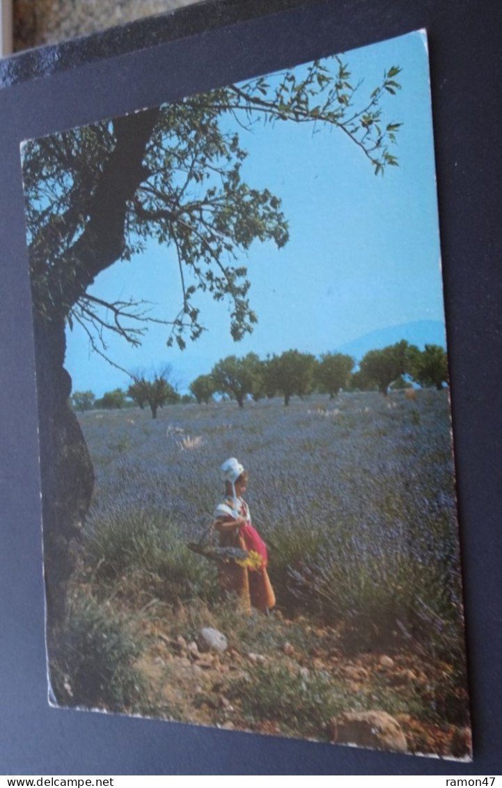 Jeune Provençale Dans Les Lavandes - Les Belles Images De Provence - Editions De Provence G.A.L., Carpentras - Provence-Alpes-Côte D'Azur