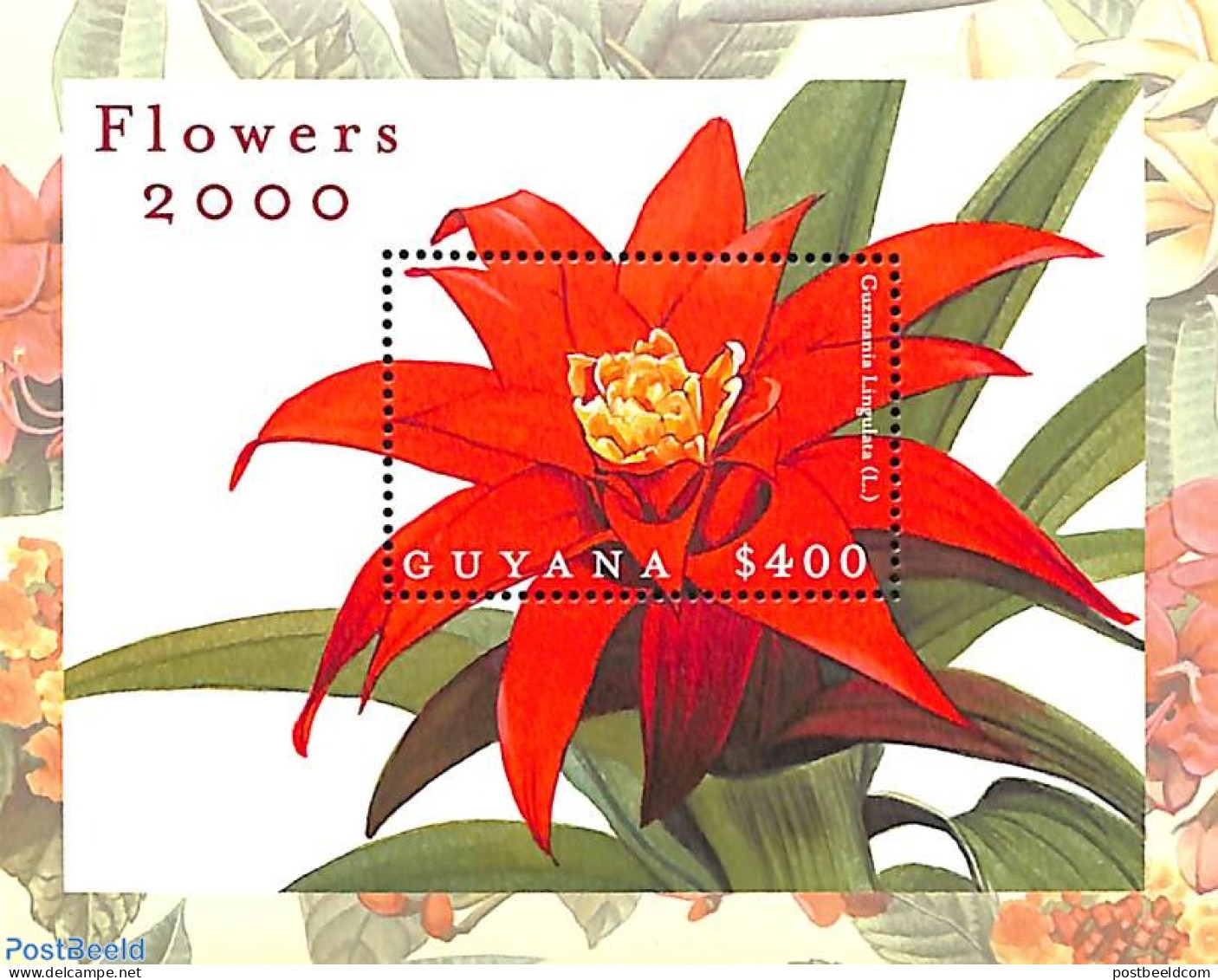 Guyana 2000 Guzmania Linglata S/s, Mint NH, Nature - Flowers & Plants - Guiana (1966-...)