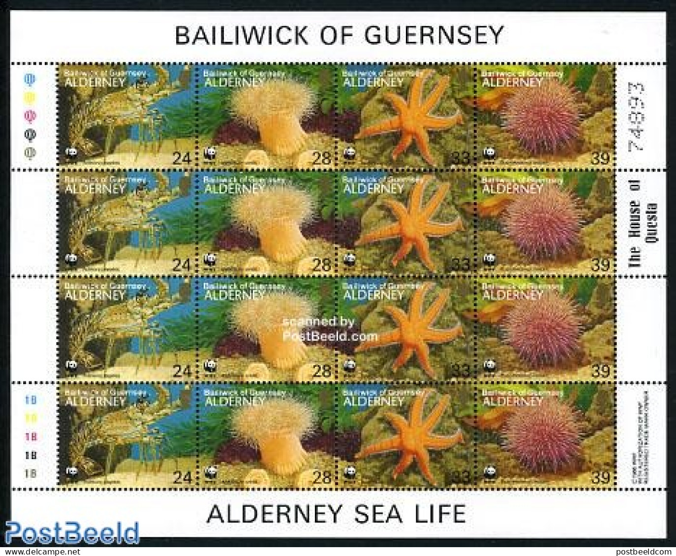 Alderney 1993 WWF, Sea Life M/s, Mint NH, Nature - Shells & Crustaceans - World Wildlife Fund (WWF) - Mundo Aquatico