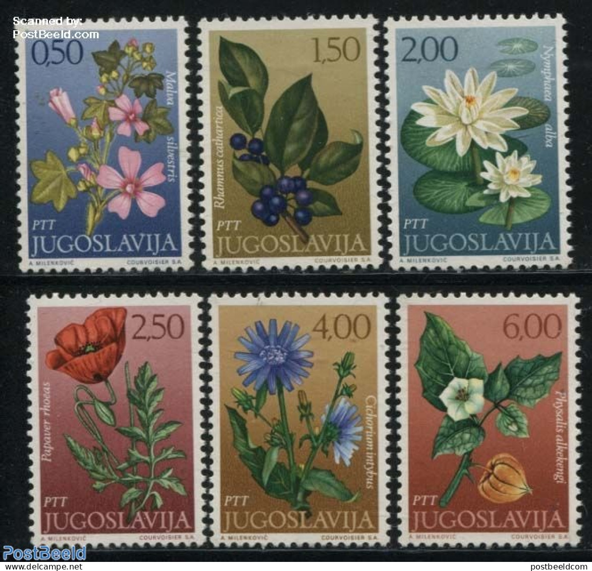 Yugoslavia 1971 Flowers 6v, Mint NH, Nature - Flowers & Plants - Unused Stamps