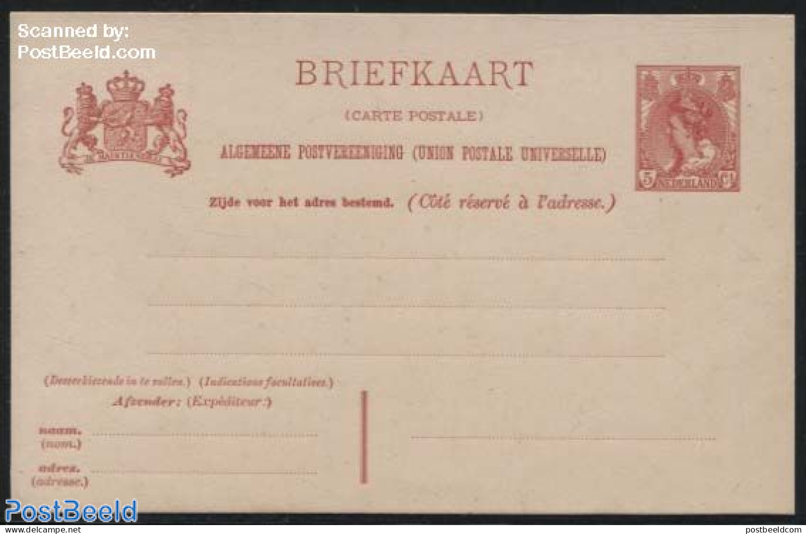 Netherlands 1905 Postcard 5c, 4 Address Lines, Unused Postal Stationary - Storia Postale