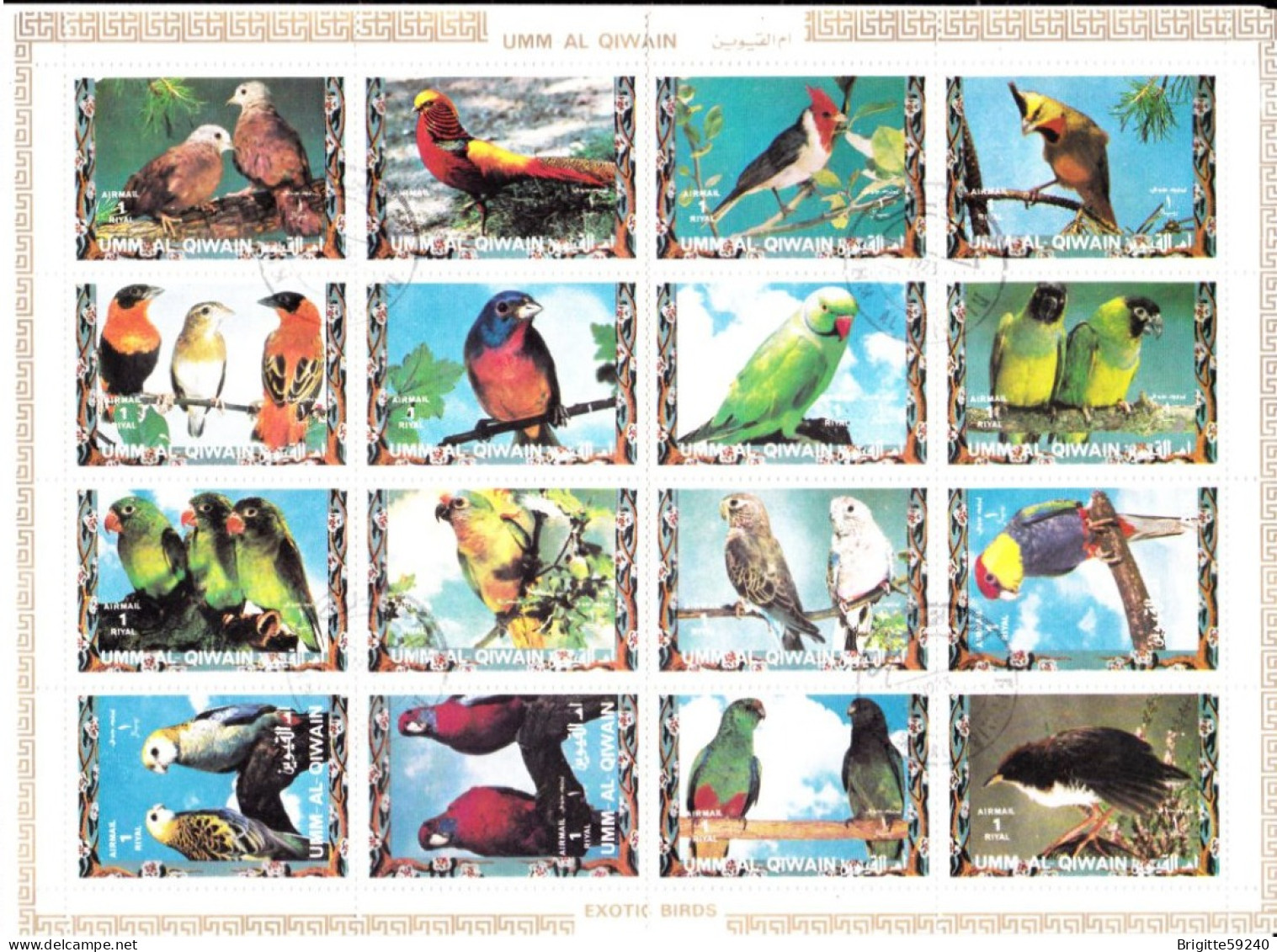 UMM AL QIWAIN - 2 PLANCHES DE 16 TIMBRES OBLITERES - EXOTIC BIRDS / OISEAUX EXOTIQUES - Otros & Sin Clasificación