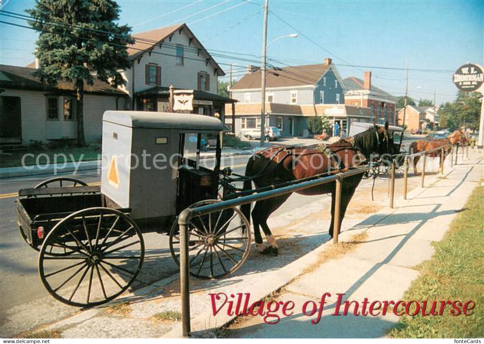 73717370 Intercourse PA Amish Seasons Horse Drawn Carriages  - Altri & Non Classificati