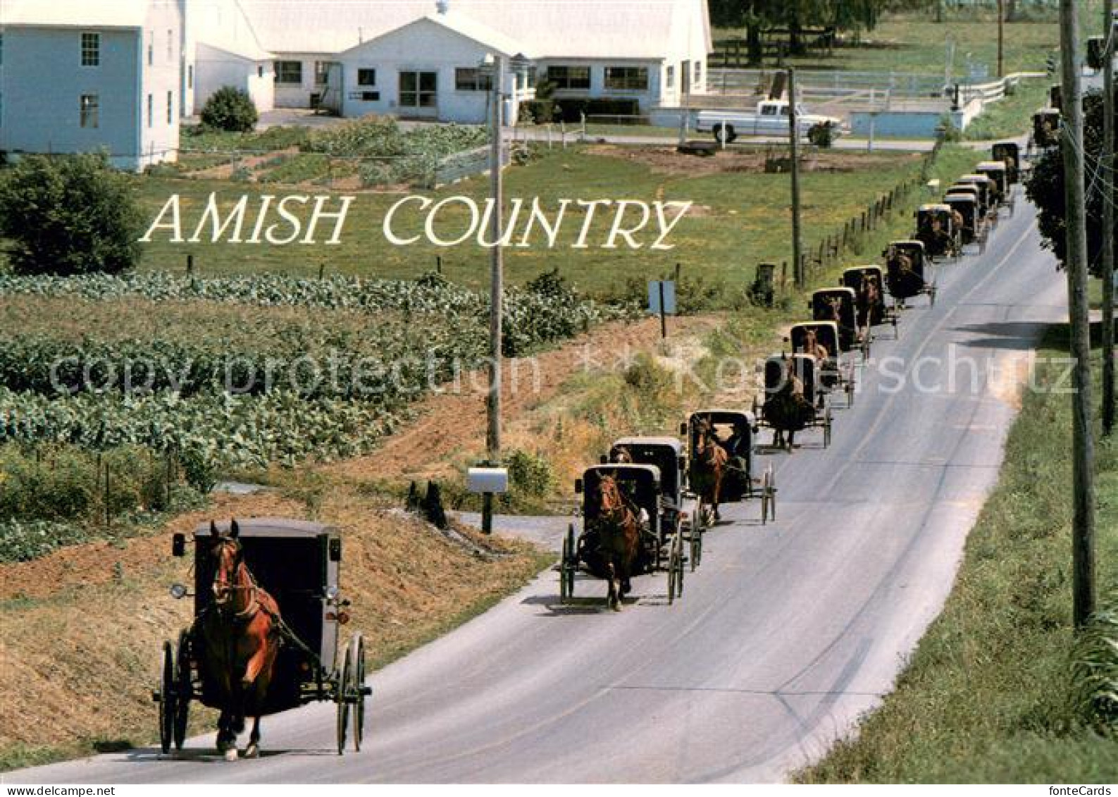 73717369 Intercourse PA Amish Country Horse Drawn Carriages  - Altri & Non Classificati