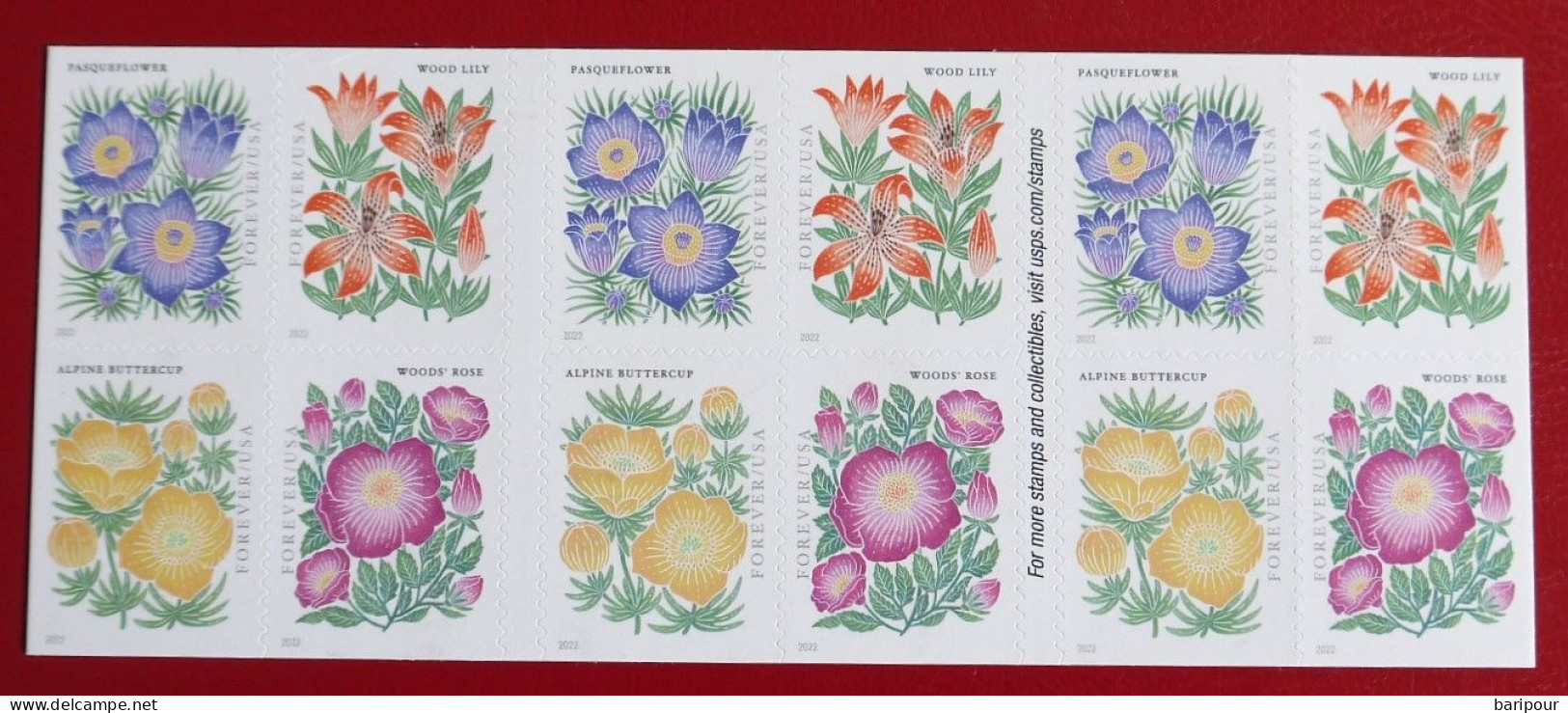 USA 2021 & 2019 Wild Rivers & Mountain Flora Postfrisch - Unused Stamps